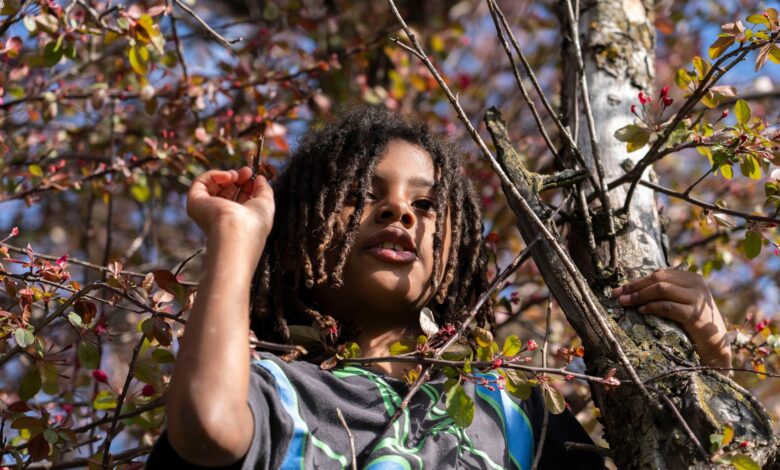 Omaha’s Lead Cleanup Sparks Push for Universal Child Testing