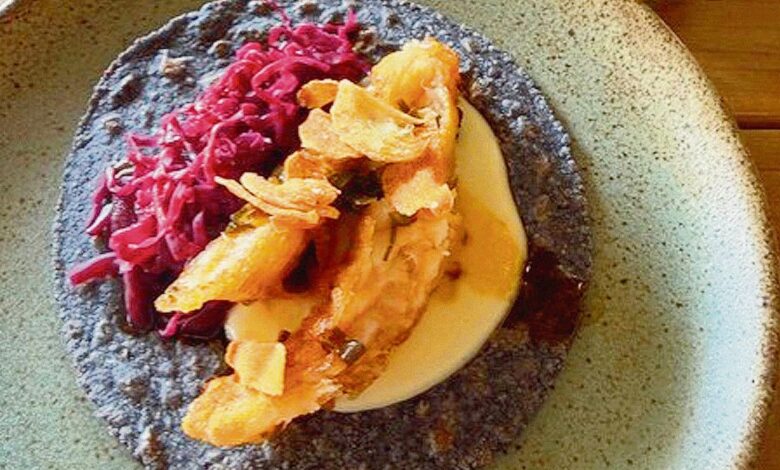 El Viejo Gacho: La joya oculta de los mariscos en Zapopan