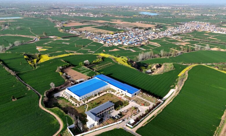 Cina, le industrie rurali guidano la crescita nel primo trimestre