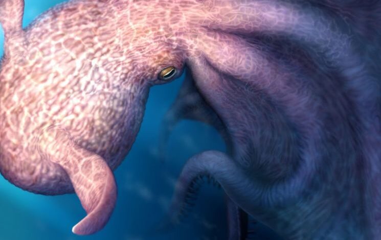 전설 속 ‘크라켄’ 실존했나…백악기 시대 19m 거대 문어 화석 발견