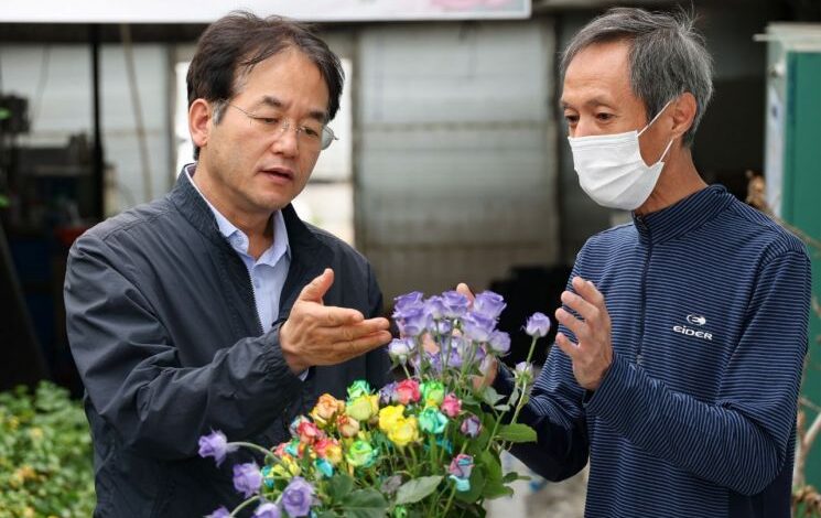 고양시, 장미 재배 농가 현장 방문… K-화훼 경쟁력 높인다