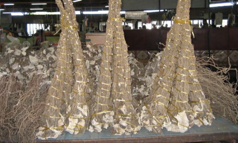 Fiji targets UK market with new yaqona export pilot