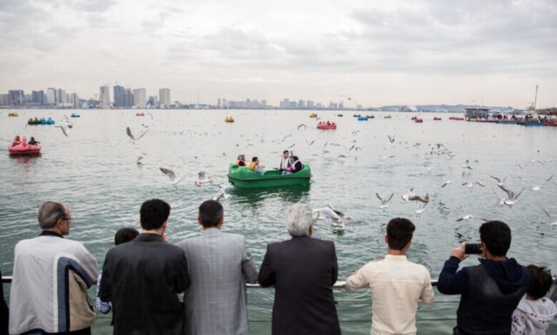 ماجرای حشرات ریز دریاچه چیتگر؛ پشه یک‌روزه یا افمروپترا؟