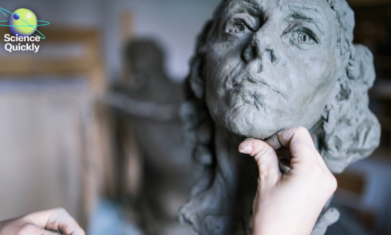 Why Humans Have Chins: The Evolutionary Byproduct