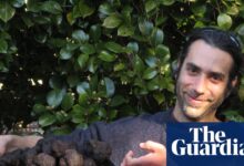 Australia’s black truffle boom: scientists pinpoint the soil advantage