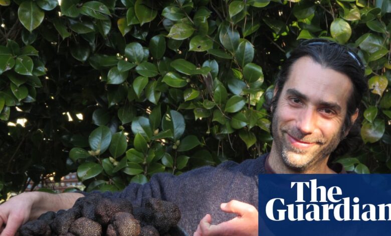 Australia’s black truffle boom: scientists pinpoint the soil advantage