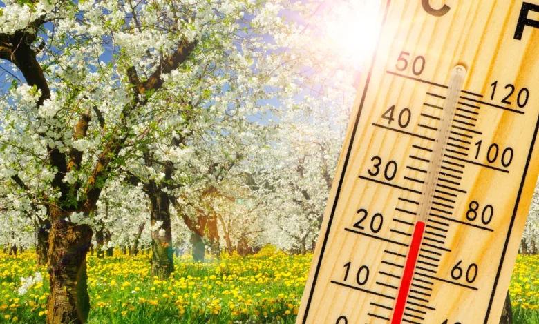 Fala gorąca zaleje Polskę. Taka będzie majówka 2026