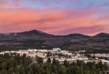 Fact-checking claims about missing and dead scientists