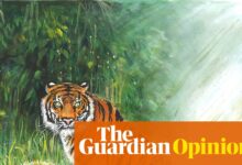 ZSL at 200: From elephant tragedy to wildlife health centre