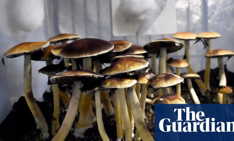 Trump order sparks psychedelic future—can research move fast?