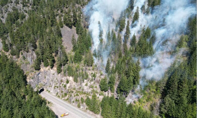 Ferrabee wildfire burns 36 hectares near Hell’s Gate