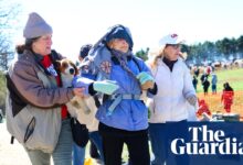 Wisconsin raid turns violent as activists clash with police over beagles