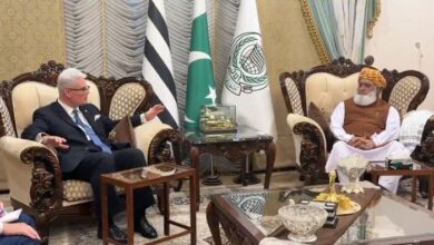 امریکی سفارتخانے کے ڈپٹی چیف آف مشن کی مولانا فضل الرحمان سے اہم ملاقات