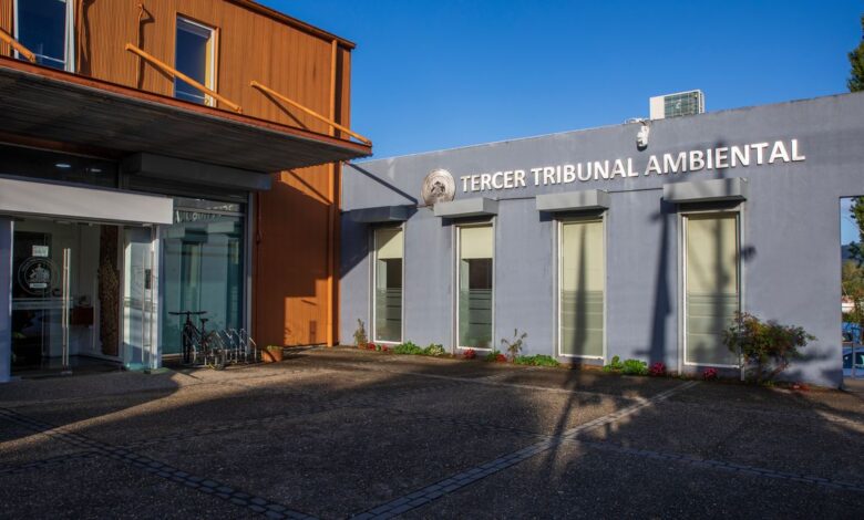 Audiencia revela la gravedad del daño ambiental en Puerto Natales