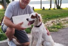 Farm Bill moves to ban greyhound racing nationwide