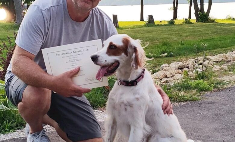 Farm Bill moves to ban greyhound racing nationwide