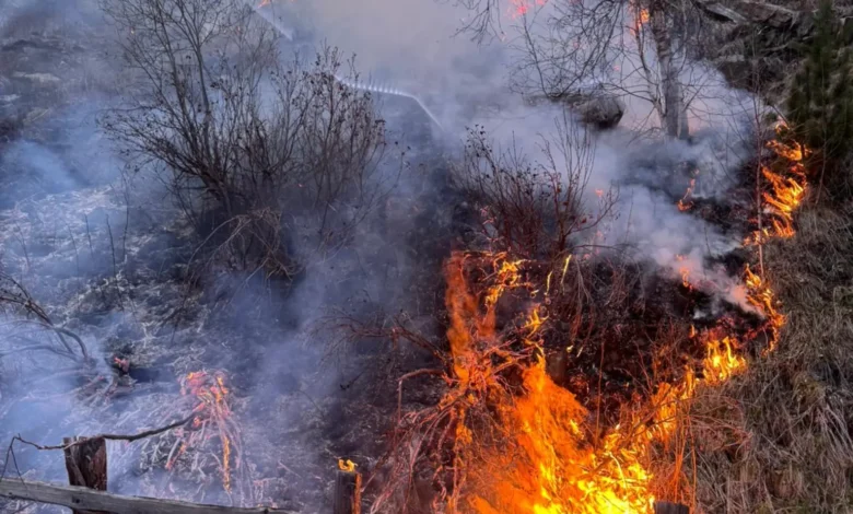 Hohe Waldbrandgefahr: Tirol verhängt strenges Feuerverbot – auch in Innsbruck