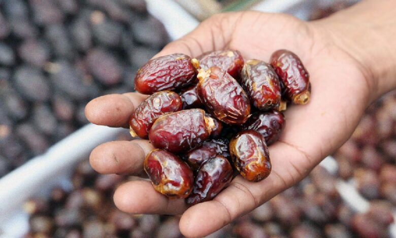 قفزة قياسية في صادرات التمور السعودية: مليارا ريال تعزز ريادة المملكة عالمياً