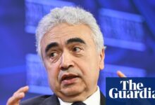 ‘The damage is done’: global oil crisis has changed fossil fuel industry for ever, IEA chief says