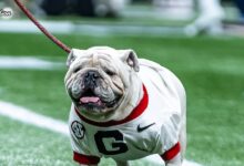 G-Day visitors: Surprise names join Spell, Wright