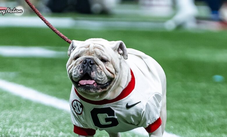 G-Day visitors: Surprise names join Spell, Wright