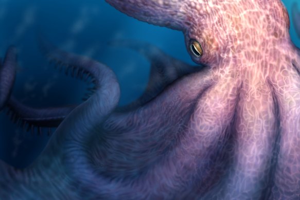 Kraken Octopus: 19-meter apex predator uncovered