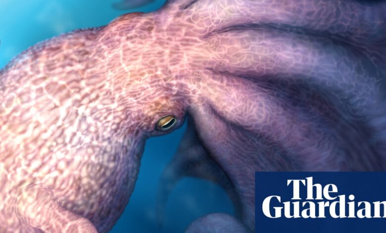 Giant octopuses crunched bones 100M years ago