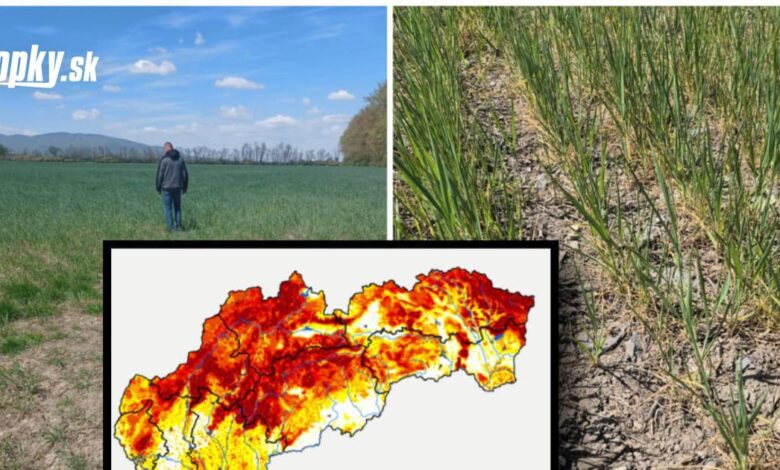 Slovensko zasiahlo extrémne sucho: FOTO, ľudia strácajú vodu v studniach