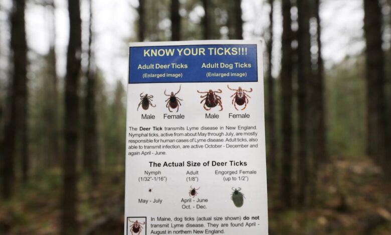 Lyme vaccine news: what to know about Pfizer’s trial