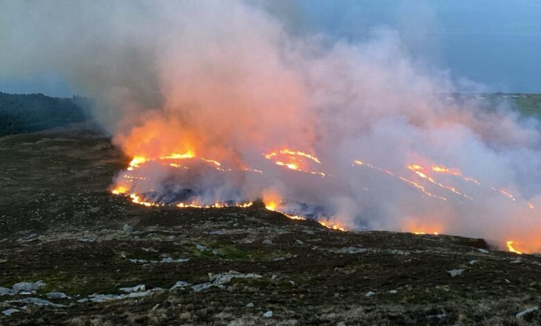 Mourne Mountains Wildfires Ravage Landscapes as Crews Battle On