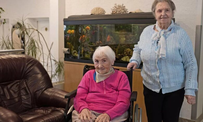 Ilgaamžės atviros: ilgo gyvenimo paslaptis slypi visai ne mitybos planuose