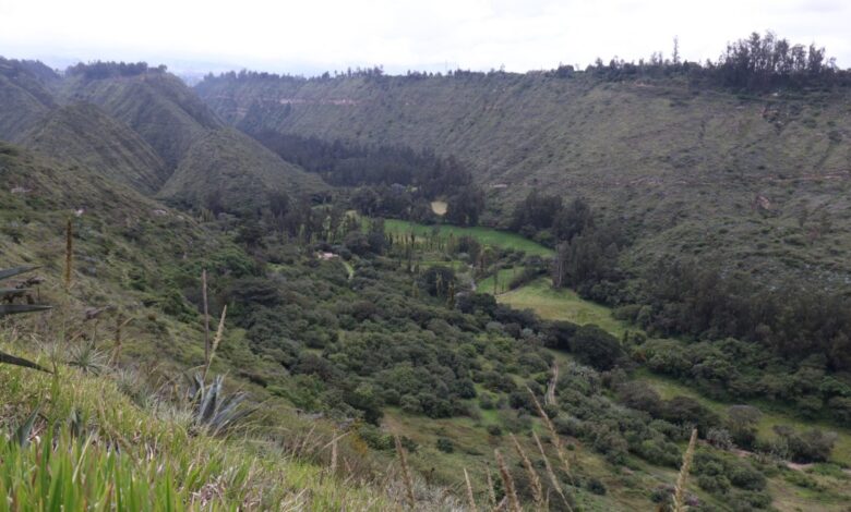 BID retira financiamiento para la planta de aguas en Checa