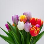 Εορτολόγιο Σήμερα: Ποιοι γιορτάζουν στις 20 Απριλίου