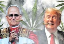 Trump or Pope Leo? 420 Insiders Pick Their ‘Toking’ Partner