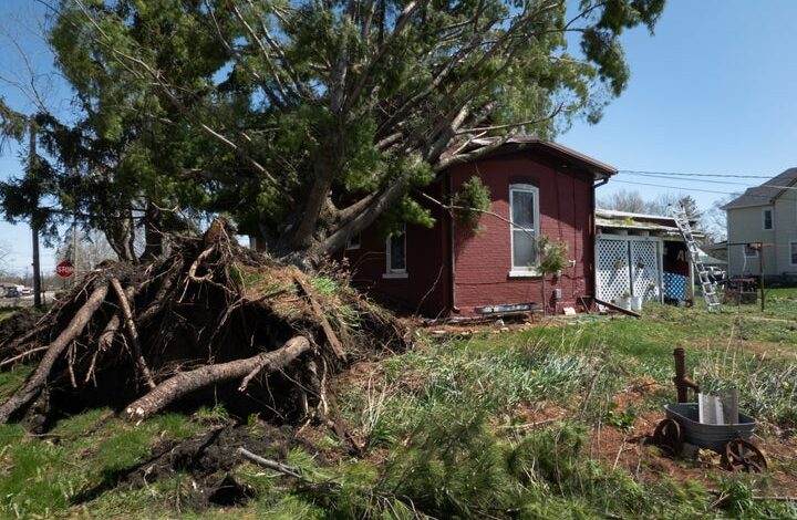 Powerful Winds and Reported Tornadoes Hit the Midwest—What to Know