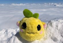 Ugly Plush Toy “Emy Adventure” Captivates Internet—And Plans Sponsorships
