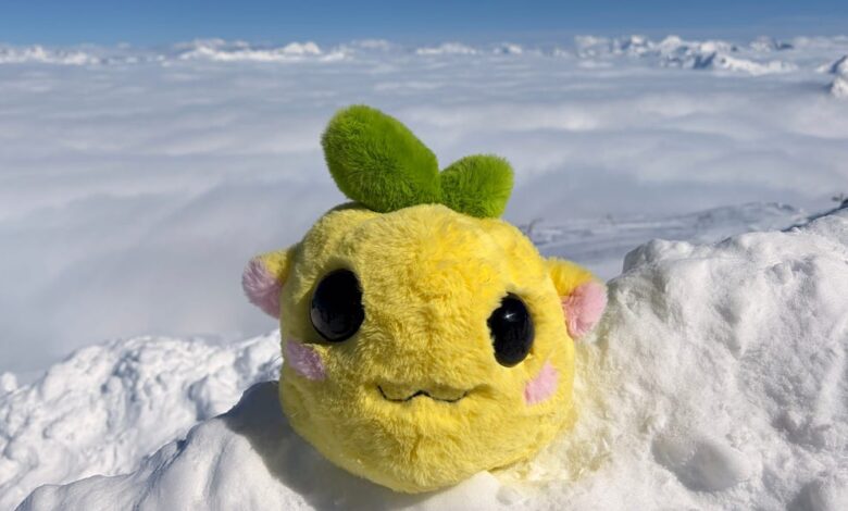 Ugly Plush Toy “Emy Adventure” Captivates Internet—And Plans Sponsorships