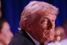 Trump and the third assassination attempt: what’s behind the rhetoric?