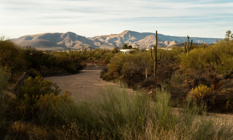2 Pedestrians Hospitalized After Wrong-Way Crash in Cave Creek