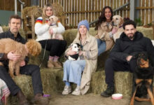 Rhod Gilbert returns to UK TV: Wagging Rights after cancer all clear