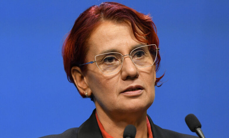 Ioana Dogioiu anunță ajutoare de 1 milion de lei pentru incendiul din Vrancea