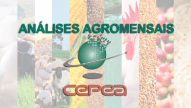 Março de 2026: Commodities em alta e o peso das tensões globais