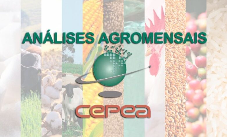 Março de 2026: Commodities em alta e o peso das tensões globais