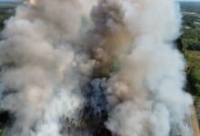 Wildfires in Georgia: Evacuations, Burn Bans and Smoke—Live Updates