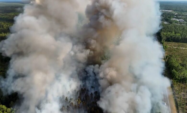 Wildfires in Georgia: Evacuations, Burn Bans and Smoke—Live Updates