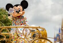  Disney tickets: the cheapest way to visit