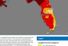 Cool Weather, Rain Hopes Rise for Fort Myers & Naples