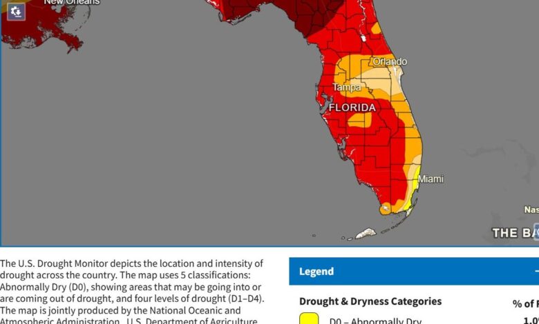 Cool Weather, Rain Hopes Rise for Fort Myers & Naples