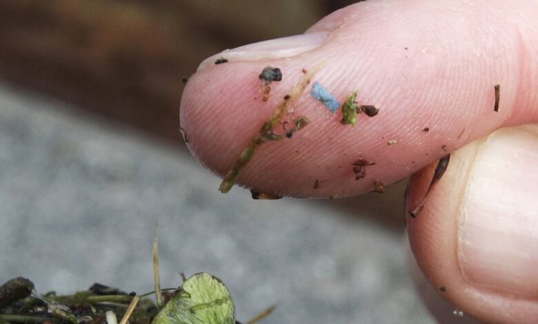 Microplastics in the body: What U.S. officials want to know