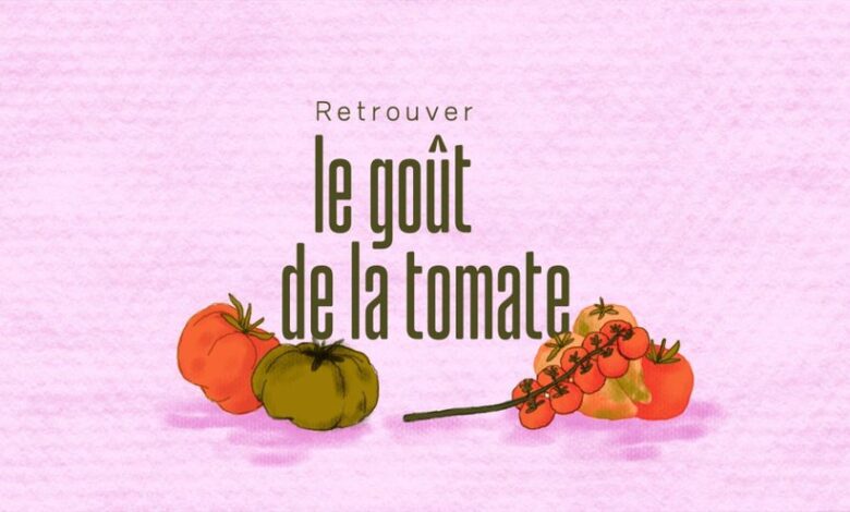 Misryoum : la tomate retrouve son goût, et ça change tout